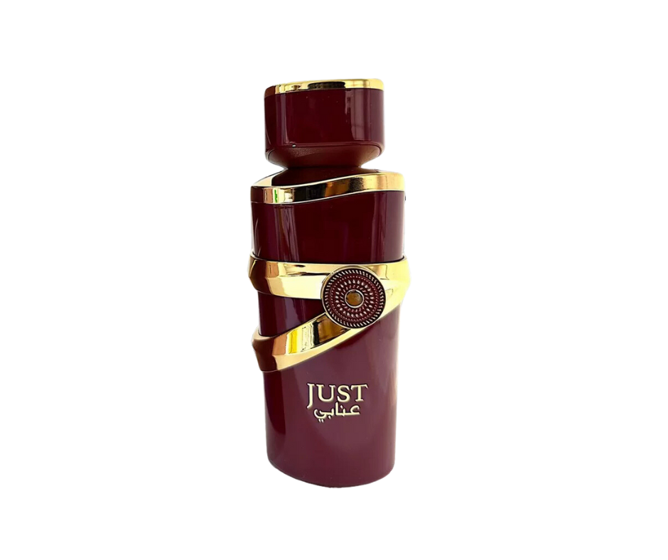Just Anabi by Fragrance World EDP 100ml