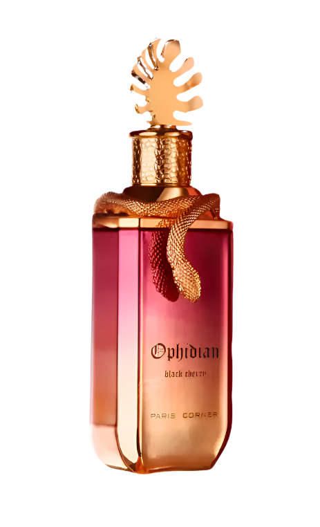 Paris Corner Ophidian Black Cherry (Ophidian Black Cherry 100ml (48/ctn))